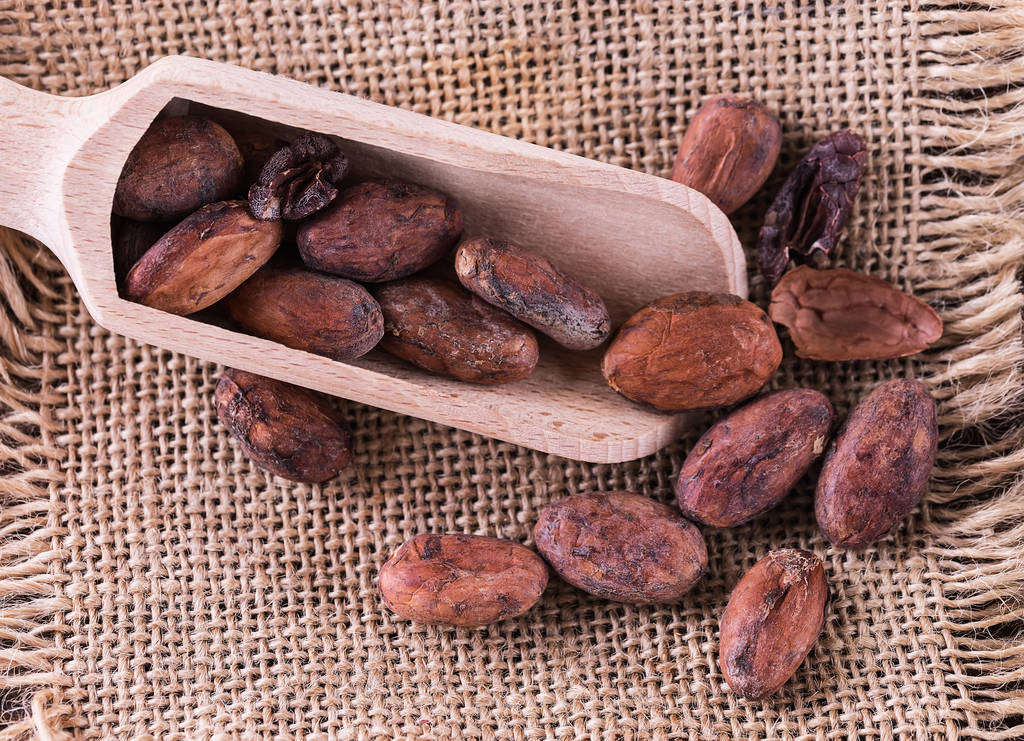 Top US-Based Cocoa Bean Testing Facilities